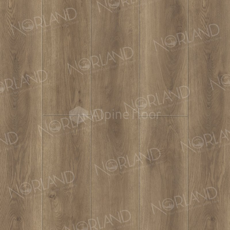 SPC Ламинат "Norland" Tista (1220*196*8 мм) — купить в Ульяновске