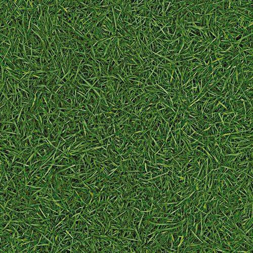 Линолеум бытовой "IVC" Neo Grass 25 (3м) — купить в Ульяновске