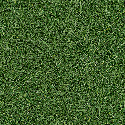 Линолеум бытовой "IVC" Bingo Grass 25 (3м) — купить в Ульяновске