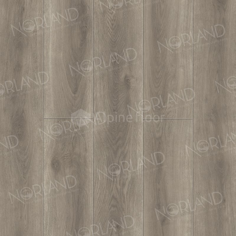 SPC Ламинат "Norland" Templet (1220*196*8 мм) — купить в Ульяновске
