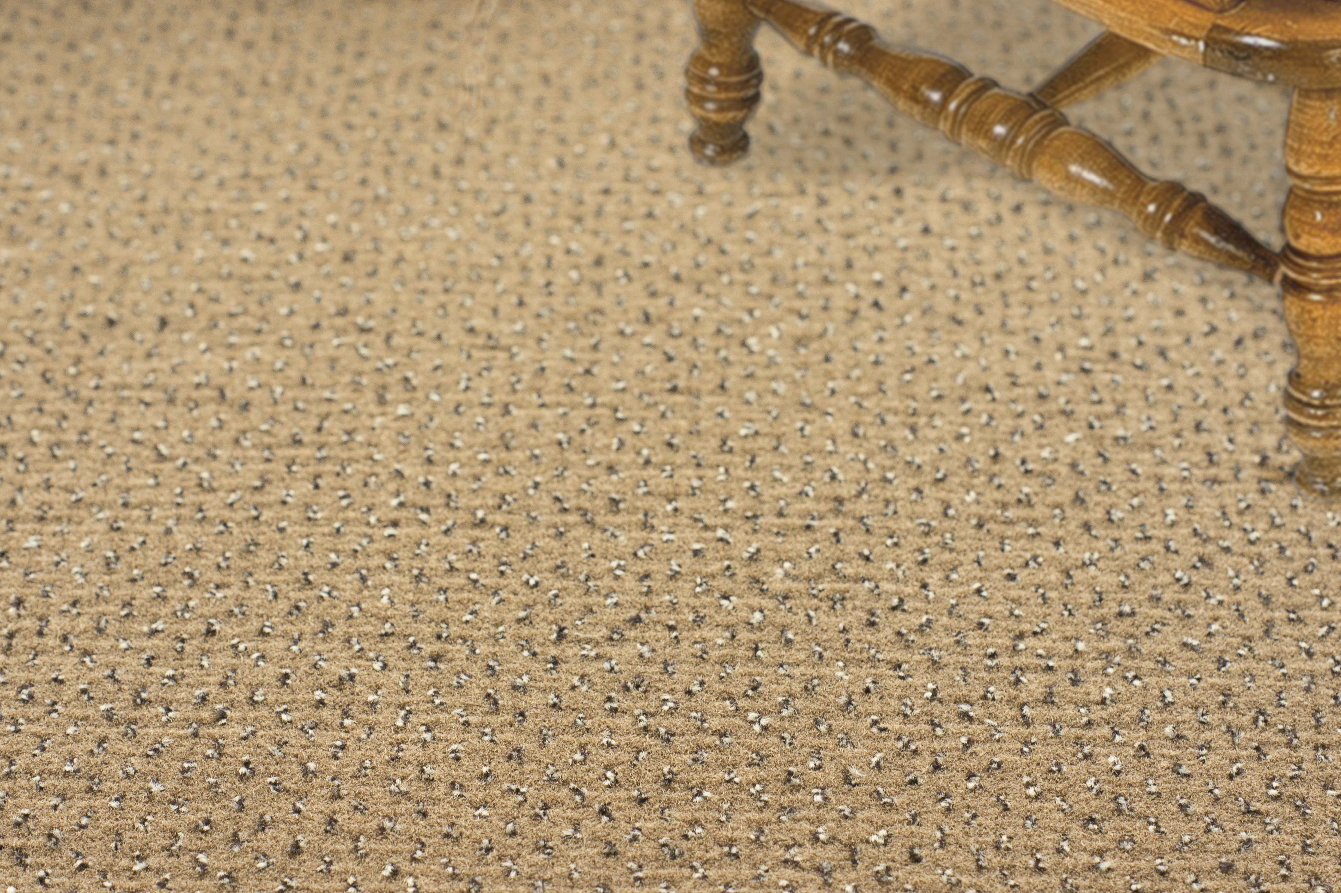 Ковролин "Зартекс" Eternity 142 бежевый (4м) — купить в Ульяновске