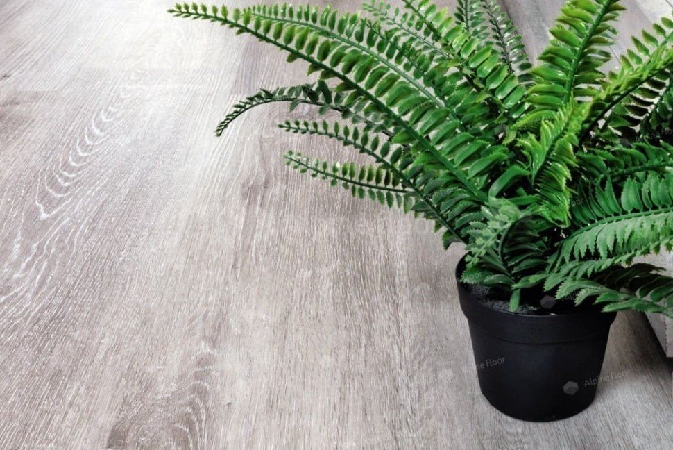 Виниловый ламинат "Alpine Floor" Classic Light MC Ясень Серый (1220*183*3,5 мм) — купить в Ульяновске